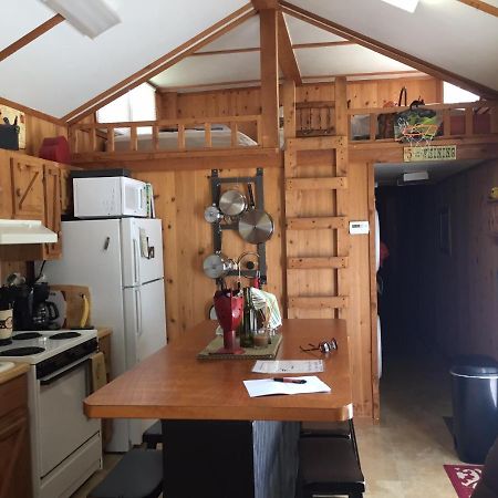 Cozy Cabin On The Bayou Maurepas Ngoại thất bức ảnh