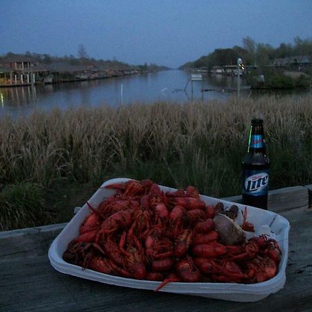 Cozy Cabin On The Bayou Maurepas Ngoại thất bức ảnh