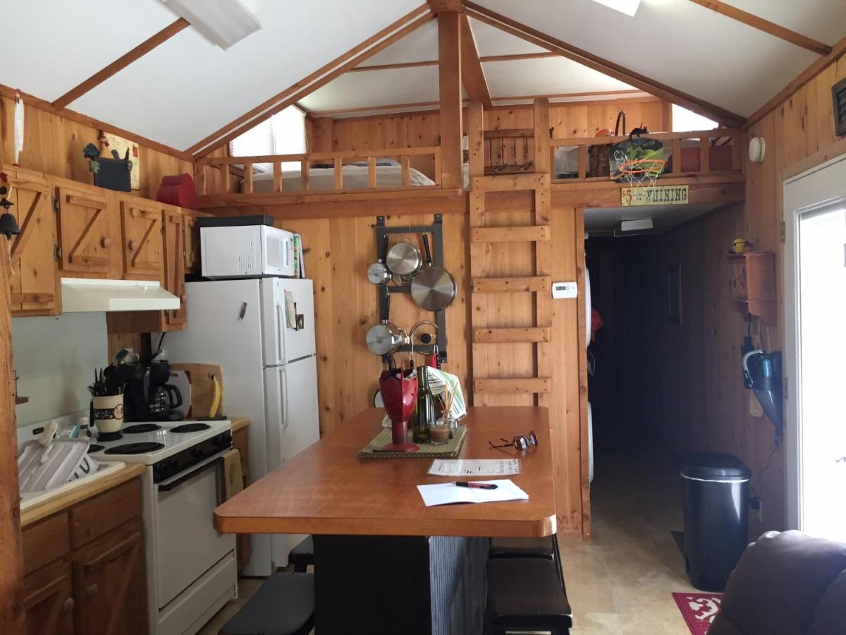 Cozy Cabin On The Bayou Maurepas Ngoại thất bức ảnh
