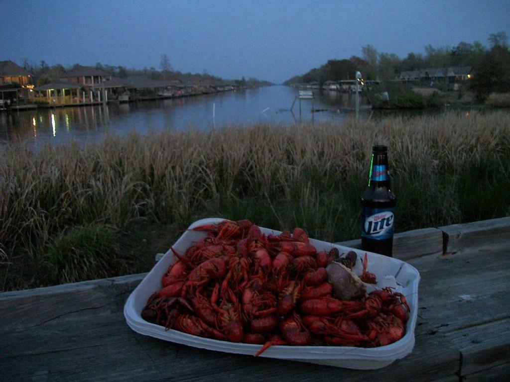 Cozy Cabin On The Bayou Maurepas Ngoại thất bức ảnh